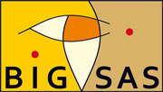 Bigsas Logo