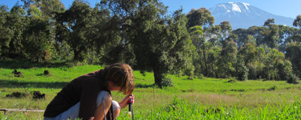 AnnaKühnel Tensiometermessungen in einem Grasland-Ökosystem am Kilimanjaro