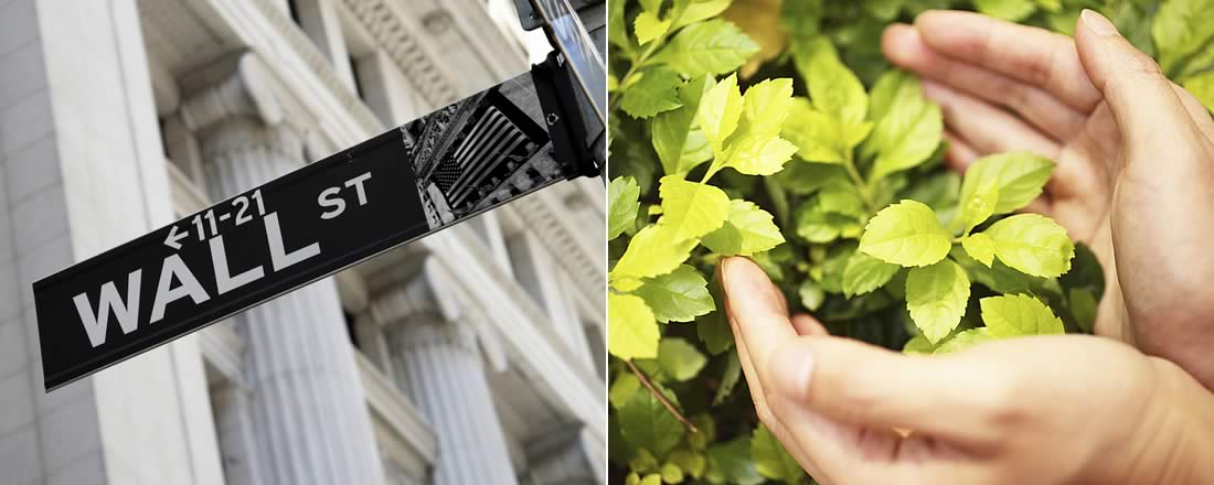 Schild mit dem Aufdruck "Wall Street" und Pflanzen umfassende Hände